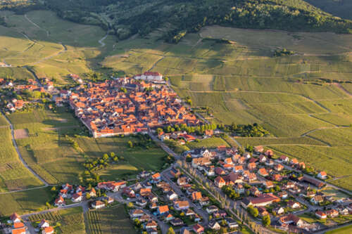 alsace-illustration-03