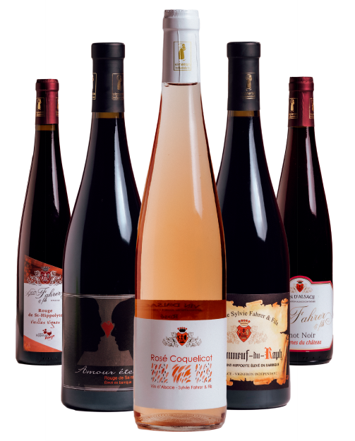 Bouteilles de vin rosé et de vin rouge