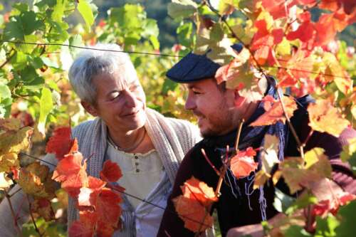 Producteurs de vins d'Alsace BIO