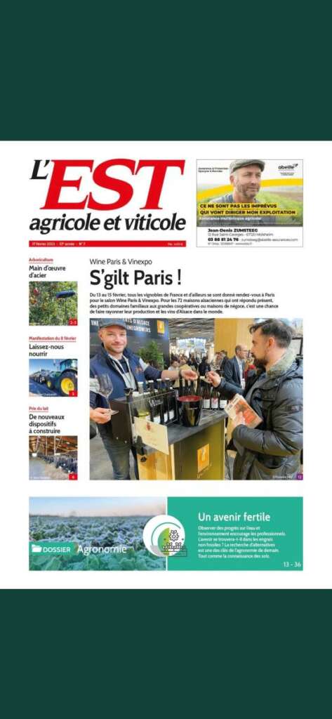 Vins d'Alsace