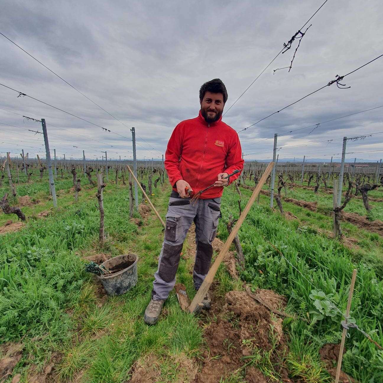 Domaine Sylvie Fahrer et Fils