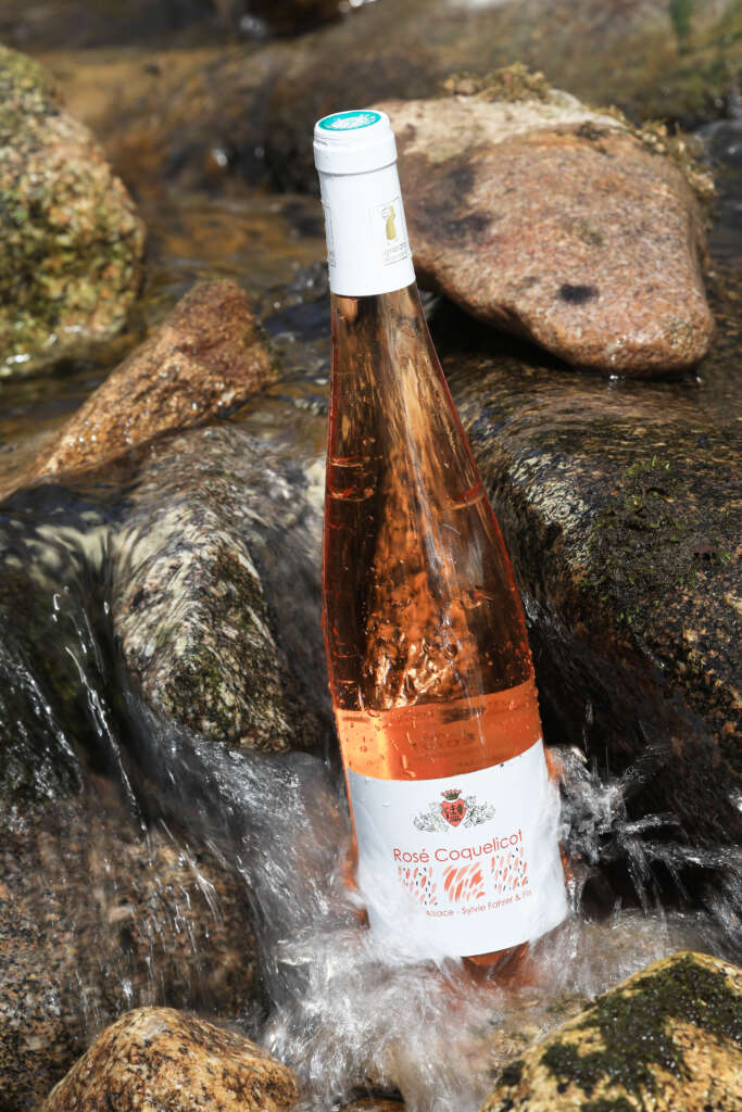 Rosé d'Alsace Pinot Noir