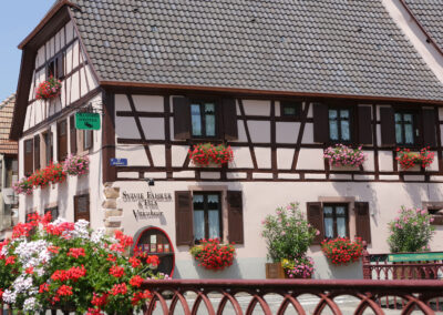 Domaine Viticole sur la route des vins